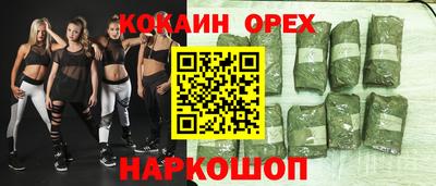 крисы Гусев