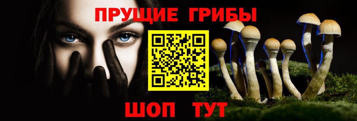 Новочебоксарск  Псилоцибиновые грибы Psilocybine cubensis  Вход с VPN 
